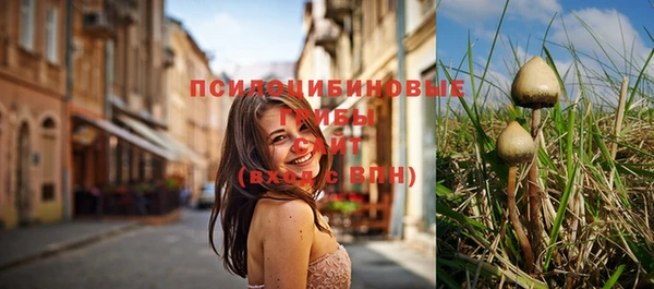 соль курить ск Бородино