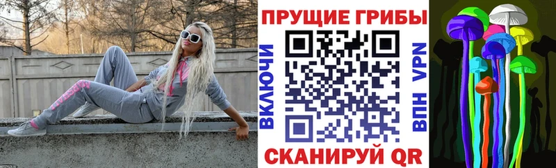 где найти   Купино  Псилоцибиновые грибы MAGIC MUSHROOMS 